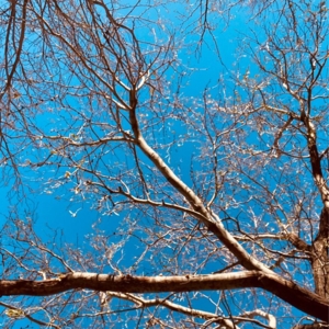 Photo of Keystone Heritage Park