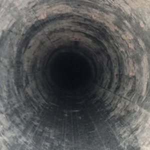 Photo of Maxima Duct Cleaning - Dryer Vent, Chimney Cleaning