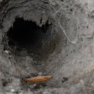Photo of Maxima Duct Cleaning - Dryer Vent, Chimney Cleaning