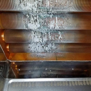 Photo of Poseidon's Plumbing