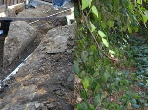 Photo of Cyprex Construction Landscapes