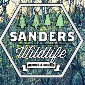 Temple Sanders Wildlife