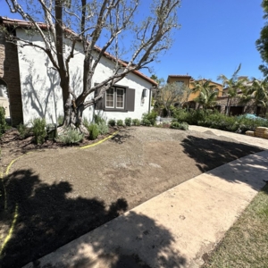 Photo of King Synthetic Grass
