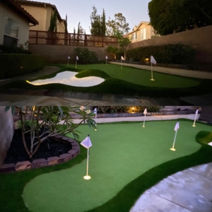 Photo of King Synthetic Grass