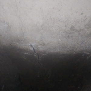 Photo of cruz foundation