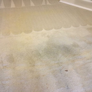 Photo of Thermo Ex