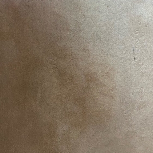 Photo of Ace Carpet Care