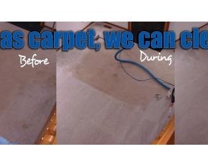 Photo of Ace Carpet Care