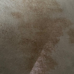 Photo of Ace Carpet Care