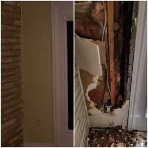 Photo of Clutch City Home Services