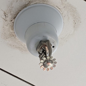 Photo of Central Fire Protection & Services