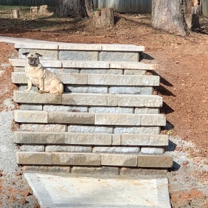 Photo of Alcon Concrete & Landscaping