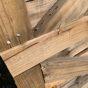 Photo of Olympic Fence