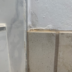 Photo of Dryfix Services