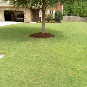 Photo of Nick's Yard Care