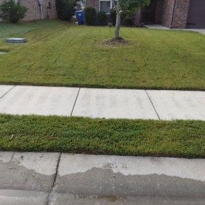 Photo of Nick's Yard Care