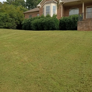 Photo of Nick's Yard Care