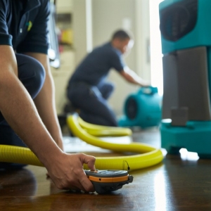 Photo of ServiceMaster Metropolitan