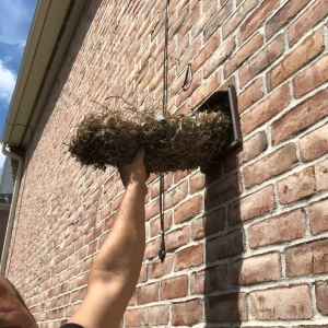 Houston Anytime Chimney Services