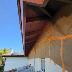 Photo of Brightview Painting