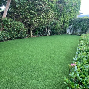 Photo of South Bay Turf