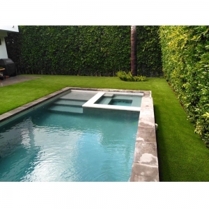 Photo of South Bay Turf