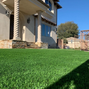 Photo of South Bay Turf