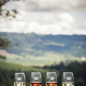 Photo of Meraviglioso Winery