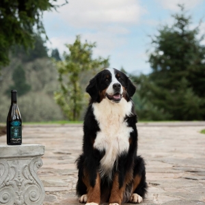 Photo of Meraviglioso Winery