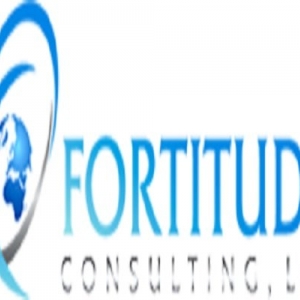Phoenix Fortitude Consulting