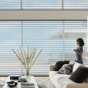 Photo of Superior View Window Fashions