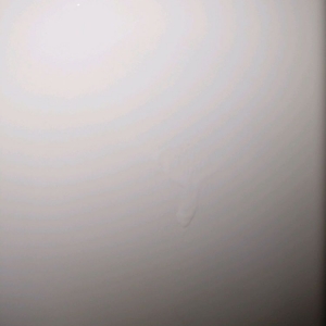 Photo of New Shine Bathtub Refinishing