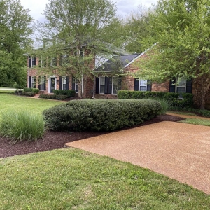 Photo of Allegiance Pressure Washing