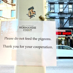 Photo of Normandie Court