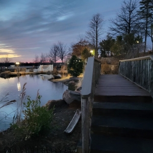 Photo of Enchanted Gardens Event Venue