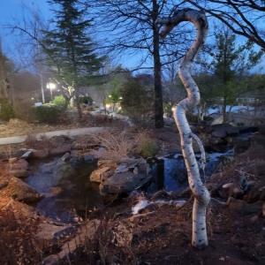Photo of Enchanted Gardens Event Venue