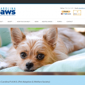 Photo of Simax Web Development