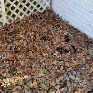 Photo of Gutters For Less
