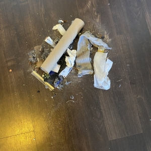 Photo of At Its Cleanest