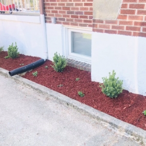 Photo of Woody Lawn Care