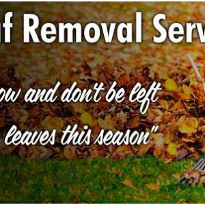 Photo of Woody Lawn Care