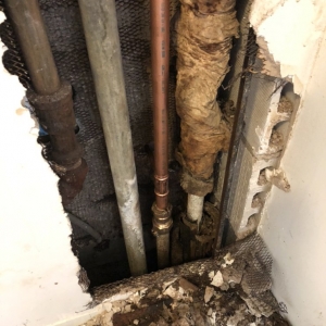 Photo of MoKan Plumbing & Backflows