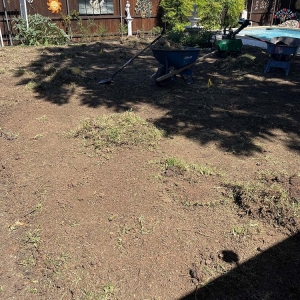 Photo of WinterGreen Synthetic Grass