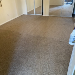 Photo of Jr's Carpet Cleaning and Painting