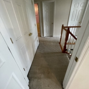 Photo of OEO Carpet Cleaning