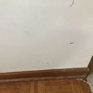 Photo of In A Snap cleaning