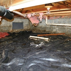 Photo of Sunshine Foundation Repair