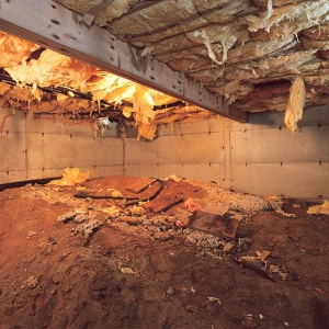 Photo of Sunshine Foundation Repair