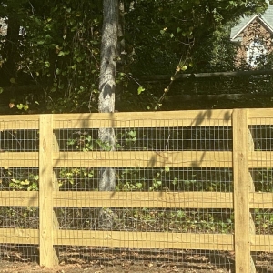 Photo of Longoria's Five Star Fencing