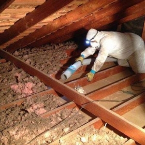 Photo of Blue Chip Insulation